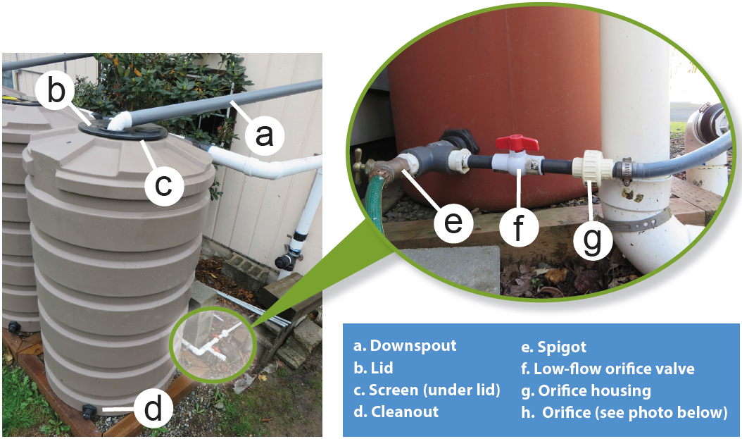 Spring Cistern Cistern Maintenance - RainWise